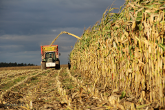 Fendt Favorit 716 Vario + Pottinger Jumbo 6610 Combiline