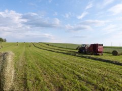 Ursus 902 + prasa rolująca new holland 644