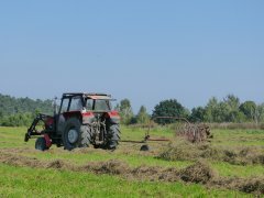 Ursus 902 + przetrząsaczo-zgrabiarka 7 gwiazdowa