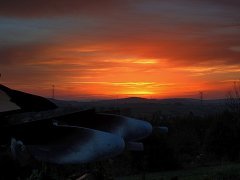 Orka o zachodzie słońca