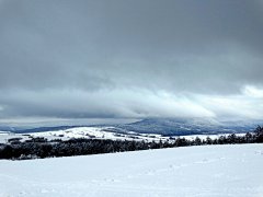 Świąteczny Krajobraz