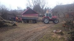 Massey ferguson 698 & rębak