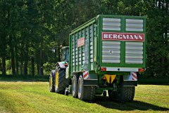 Bergmann Carex