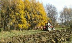 zetor forterra 135 16v