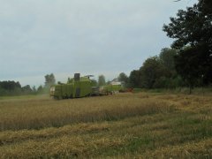 CLAAS Mercator 50 & Dominator 86