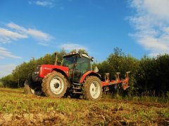 Massey Ferguson 6260 + Charrues Demblon t68 ns