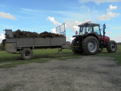 Massey Ferguson 6260 + rozrzutnik