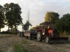 MF 255 + przyczepa & Ursus 3512 + przyczepa