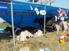 Międzynarodowe Dni z Doradztwem Rolniczym w Siedlcach 2016