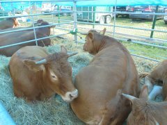 Międzynarodowe Dni z Doradztwem Rolniczym w Siedlcach 2016