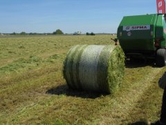 Zielone Agro Show 2017 Ułęż