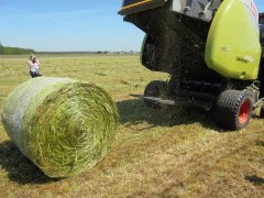Zielone Agro Show 2017 Ułęż
