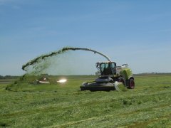 Zielone Agro Show 2017 Ułęż