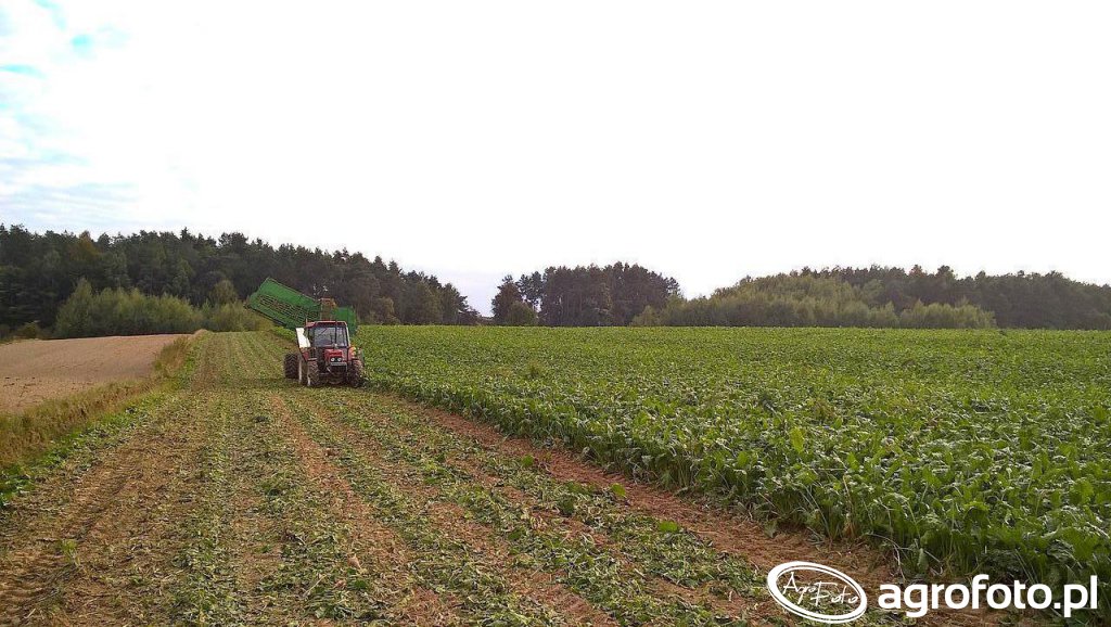 Zetor 7745 Turbo + Stoll V202