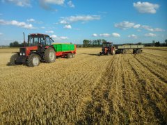 Belarus 952+Igamet 8t i Ursus 3512+ HL 6 ton