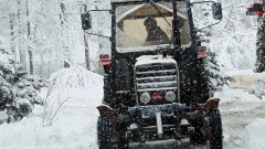 Massey ferguson 255