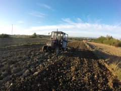 Massey ferguson 255&Brona wahadłowa