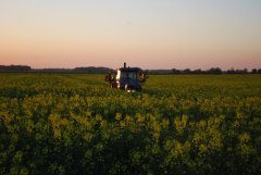 Massey Ferguson 3050 & CEBECO 21m