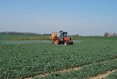 Massey Ferguson 3050 & Cebeco 750l 21m