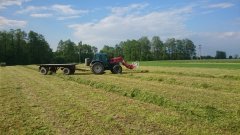 Landini