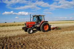 Massey Ferguson 3050 & kompaktowa brona talerzowa