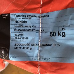 Pszenica ozima Hondia