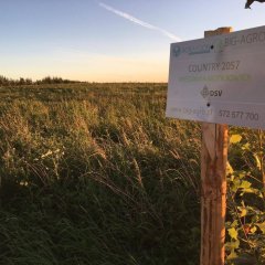 Mieszanka motylkowych COUNTRY 2057 (DSV)