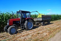 Belarus 820 & sieczkarnia