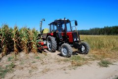 Belarus 820 & sieczkarnia