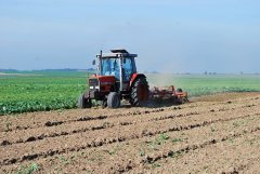 Massey Ferguson 3050 & Unia Mars 3m