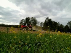 Ursus C-360 + Agregat uprawy Bomet