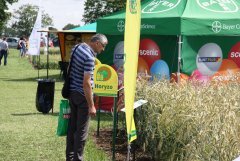 Odmiana żyta Horyzo wywołuje na wszystkich targach sporo zainteresowania pośród rolników.