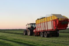 Wieczorny zbiór pierwszego pokosu z Barenbrug