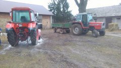 Mtz82 i Massey Ferguson 274SK+BRUNS