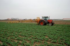 Massey Ferguson 3050 & Cebeco 21m