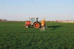 Massey Ferguson 3050 & Cebeco 21m