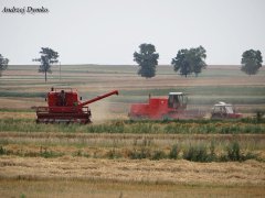 Bizon Super Z050 & Z056