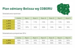 Plonowanie odmiany Belissa