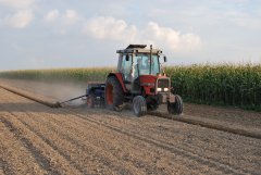 Massey Ferguson 3050 & Nordsten CLH 300