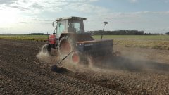 Massey Ferguson 3050 & Nordsten