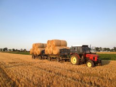 Zetor 7711 i D-47 +D-50