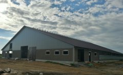 Budowa obory wolnostanowiskowej