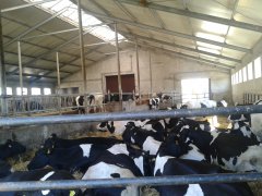 Obora  wolnostanowiskowa