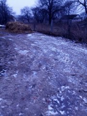 Utwardzony plac pod pryzme obornika .