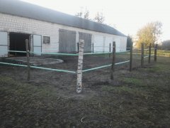 Wybieg dla krów i jałowek