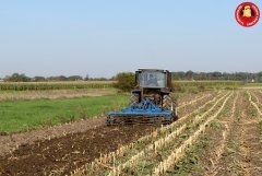 Talerzowanie: Same + brona talerzowa Agrotomstal + talerze Waryński.