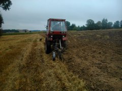 Władimirec+pług 2x30cm