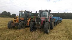 Renault 95-14 & Massey Ferguson 699