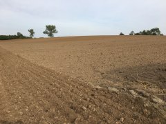 Pole nr 1 przygotowane pod rzepak