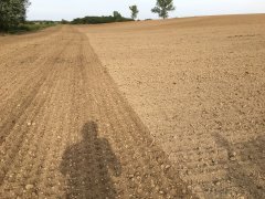 Pole nr 1 przygotowane pod rzepak